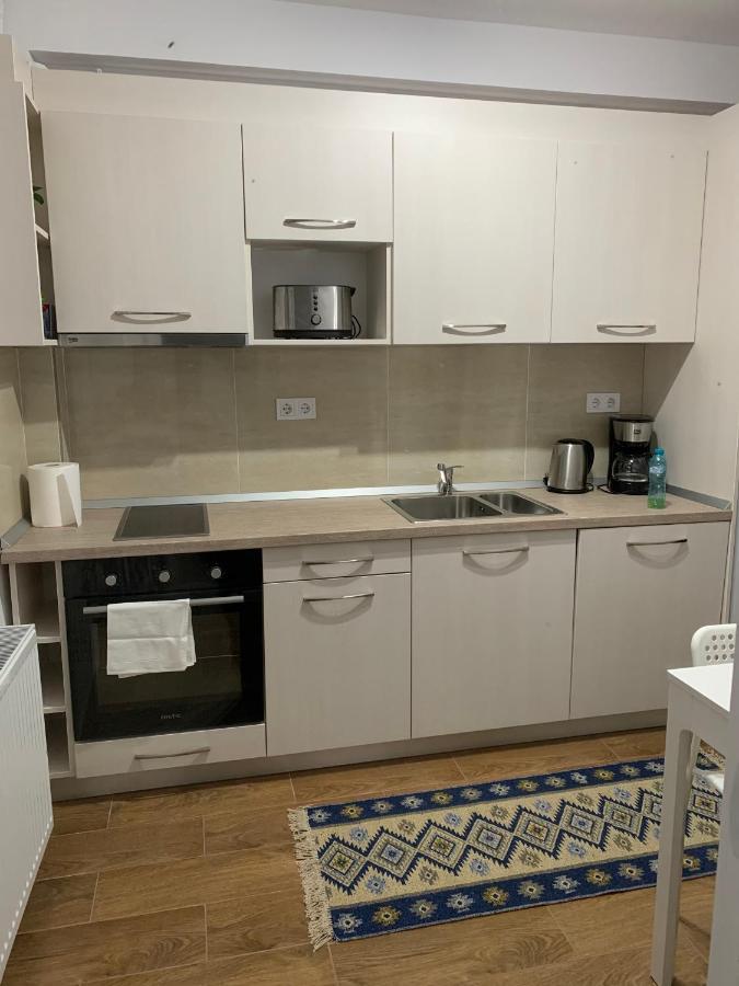 Welcoming Gemini Apartment 1 Sibiu Exteriör bild